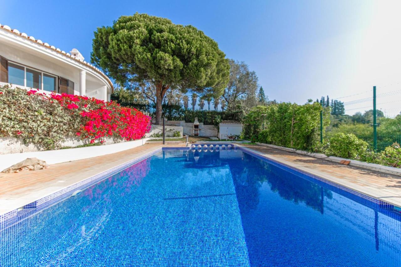 Sol Atlantico Boutique Resort Lagos Dış mekan fotoğraf